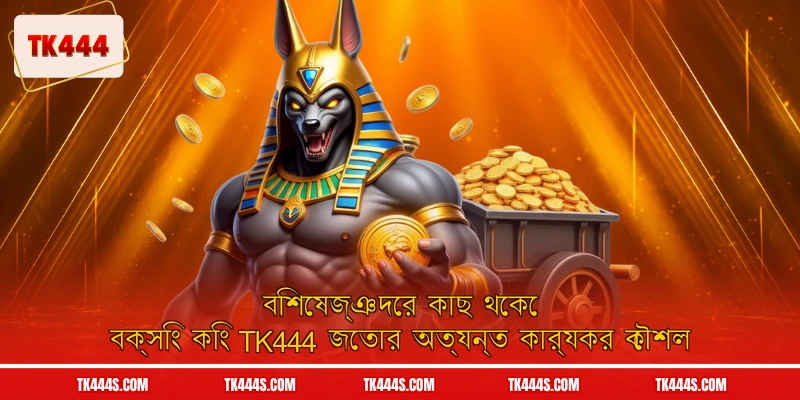 বিশেষজ্ঞদের কাছ থেকে বক্সিং কিং TK444 জেতার অত্যন্ত কার্যকর কৌশল